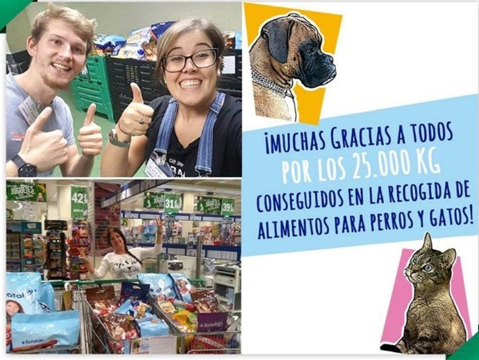    El Corte Inglés Dona 35.000 Kilos De Pienso Para Mascotas