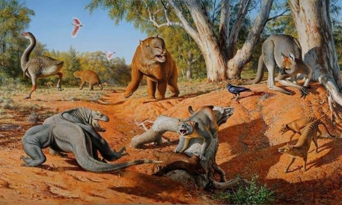 Megafauna australiana