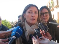 Exedil de Urbanismo de Granada (PP), a un paso del juicio por el 'caso Serrallo'