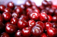 La provincia de Cáceres promocionará sus productos gastronómicos en la cumbre internacional 'Madrid Fusión 2017'