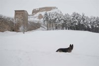 La acumulación de nieve en Morella deja hasta 49 centímetros de espesor en 48 horas