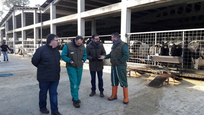 Visita de socialistas a Mazaricos (A Coruña) sobre el lácteo.