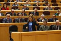 Santamaría expondrá el martes en el Senado los acuerdos de la Conferencia de Presidentes