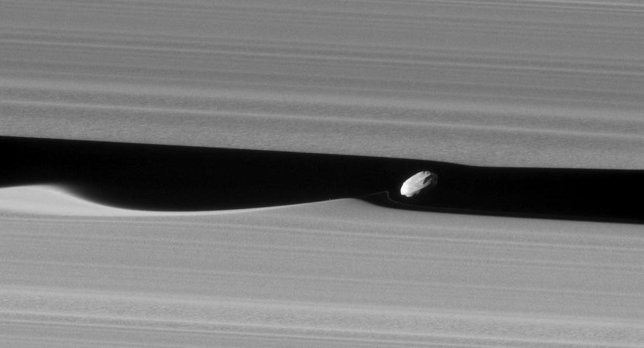 Daphnis
