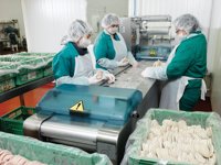 La Comunitat registra 11.033 nuevas sociedades en 2016, una media de 30 al día