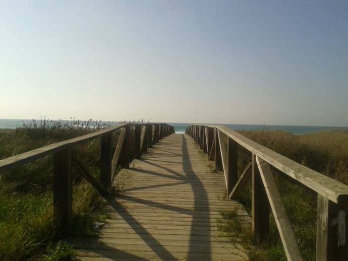 Playa de El Palmar (Cádiz)