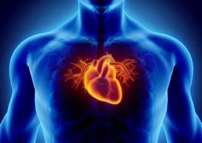 latido corazón