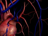 Identifican una molécula que abre las puertas al tratamiento personalizado de la insuficiencia cardiaca