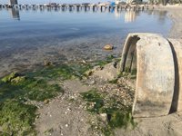 Uno de los detenidos por la paliza a una joven en Murcia formó parte de la lista de Ganar Cehegín