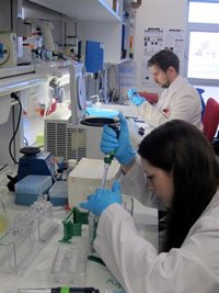 La USAL ofrece un servicio "único en Castilla y León" para estudiar enfermedades neurológicas en animales