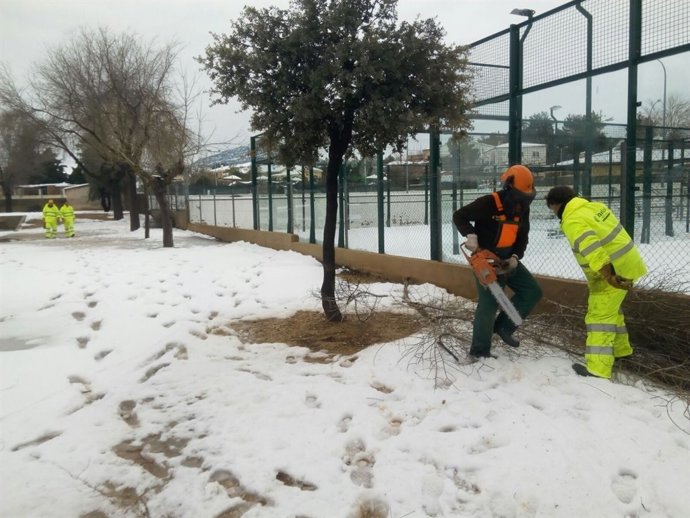 Brigadas de Divalterra trabajando