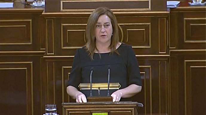 Martínez Arregui en su comparecencia en el Congreso