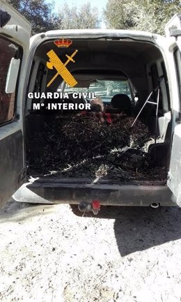 La Guardia Civil ha recuperado 1.800 kilos de aceituna