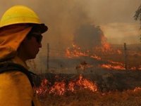Los incendios someten a Chile al "mayor desastre forestal" de su historia