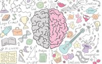La personalidad está ligada a la estructura del cerebro