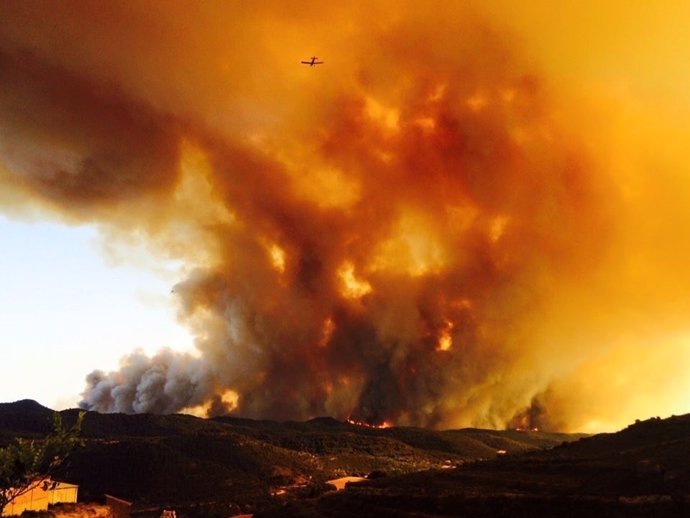 Incendio forestal