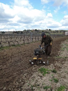 Trabajador agrario, trabajo agrario, cultivar, cultivo, cultivando, cultivos