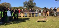 Comienza en Jaén la campaña de liberación de lince para mejorar genéticamente la especie