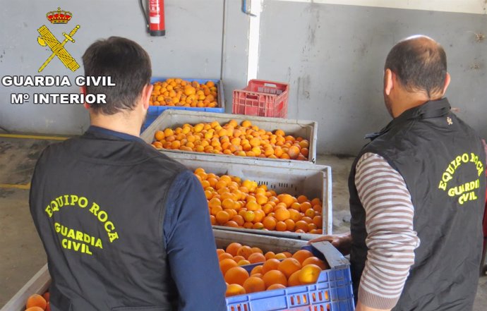 Operación Portixol investiga la sustracción de 26.000 kg de naranjas