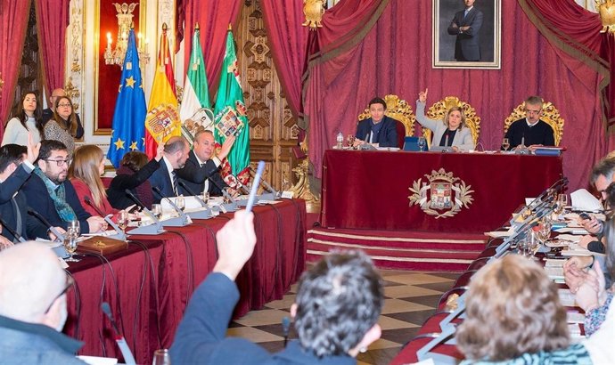 Pleno ordinario de la Diputación Provincial de Cádiz