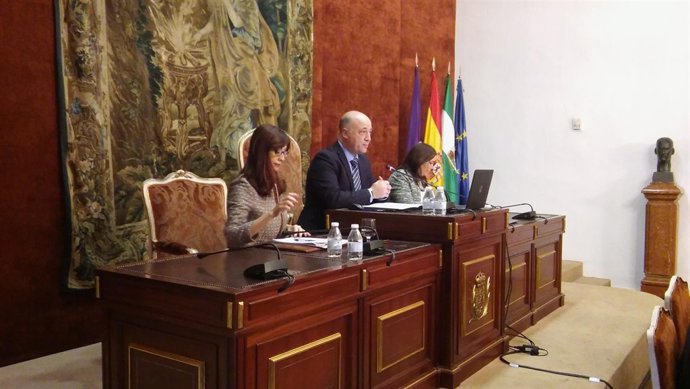 Presidencia del Pleno de la Diputación