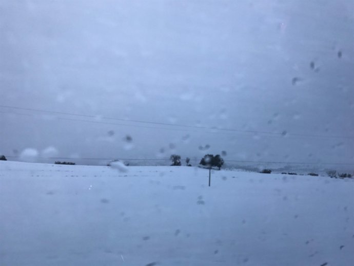 Nieve, nevada, frío, temporal