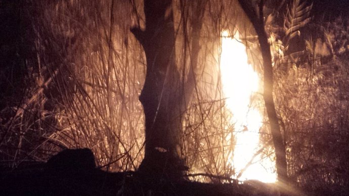 Bomberos controlan un conato de incendio forestal en el paraje El Menjú 