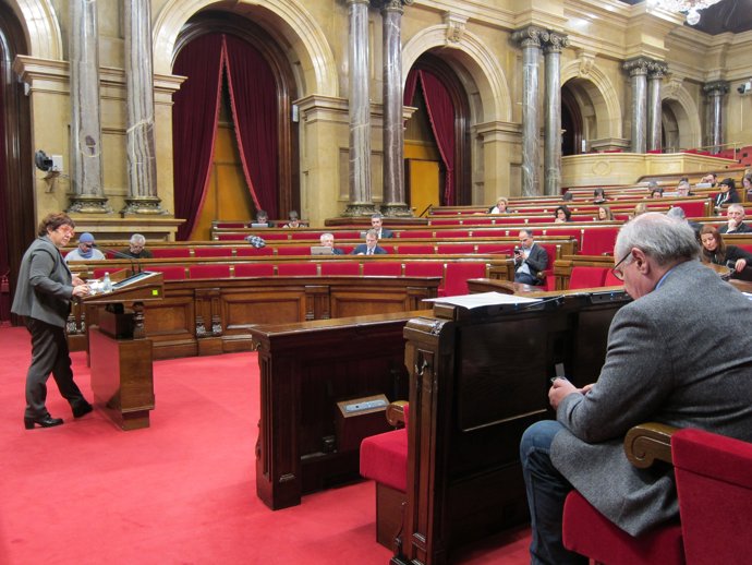 La consellera Dolors Bassa en el pleno del Parlament