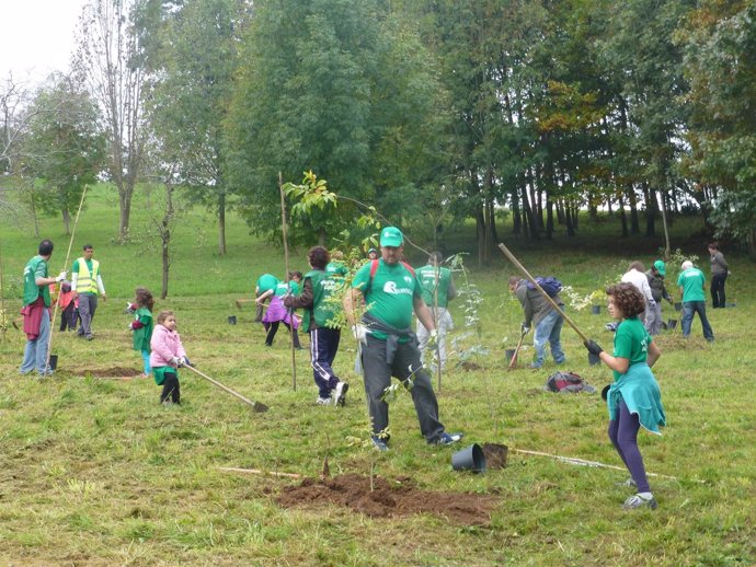 Una de las actividades de Bosques de Cantabria dentro de PROVOCA