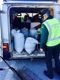 Ante el juez cinco personas sorprendidas robando 400 kilos de aceitunas en Cuevas del Campo