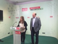 PSOE-A afirma, sobre acto de Pedro Sánchez, que las puertas de Andalucía "siempre están abiertas" a cualquier compañero