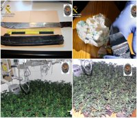 Cae en Abanilla un grupo criminal de jóvenes dedicado al cultivo y distribución de drogas