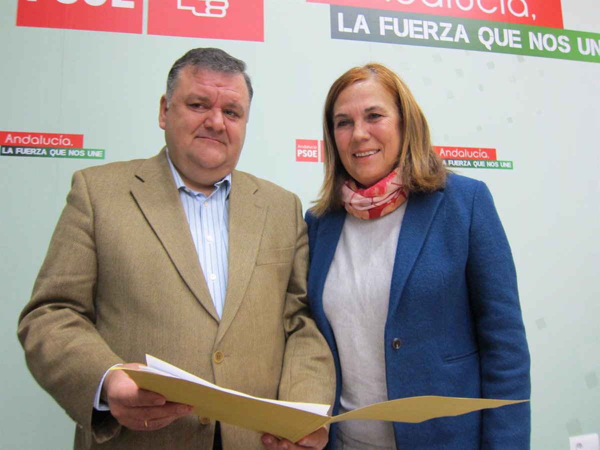 El PSOE de Córdoba respalda a la alcaldesa de Obejo ante la moción de ...