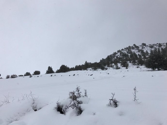 Nieve, nevada, frío, temporal