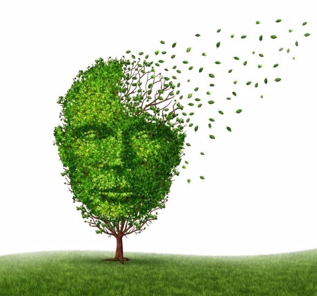 Alzheimer, demencia