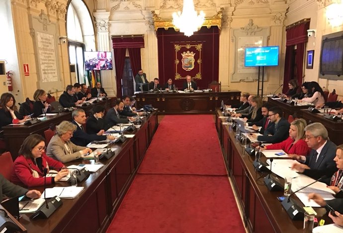 Pleno de Málaga. Enero 2016