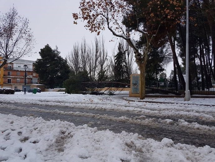 Temporal en Requena