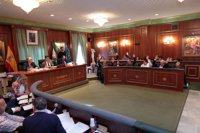 El Pleno de Marbella aprueba el reglamento para nombrar a los directores generales del Ayuntamiento