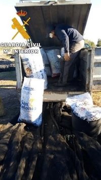 Detenido en Guadalcázar (Córdoba) un vecino de Écija (Sevilla) por robar aceitunas haciéndose pasar por trabajador