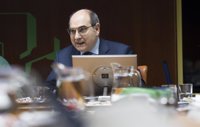 Gobierno vasco denuncia que el Consejo Interterritorial de Salud está "al servicio" del PP y pide su reforma