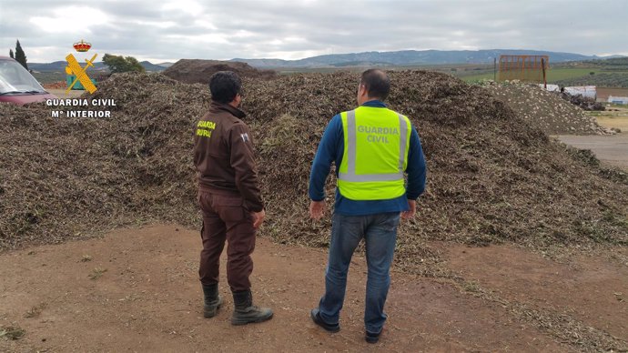 Actuación de la Guardia Civil contra robos de aceitunas