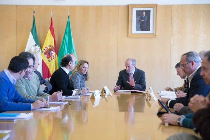 Consejo Rector del Opaef de la Diputación de Sevilla