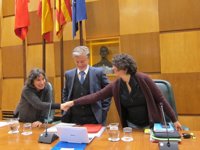 ZEC, PSOE y CHA aprueban inicialmente el Presupuesto de 2017