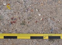 Guardia Civil detiene a un individuo por intentar matar a un vecino de Lorca