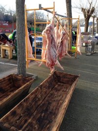 Anpba denuncia ante la Junta que muchas matanzas promocionales se celebran con aturdimiento previo del animal en público