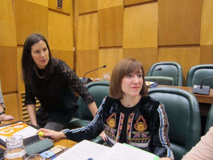 Sara Fernández en el Pleno.