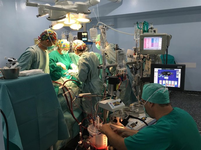 Realización de la operación con circulación extracorpórea.