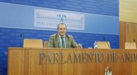 El presidente de la comisión de formación presenta este martes su propuesta de dictamen final