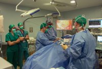 La tasa de donación de órganos y tejidos supera por primera vez los 40 donantes por millón de población en Sevilla