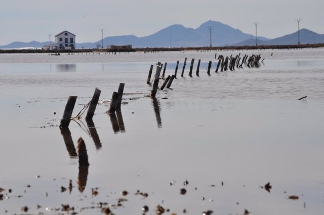 Imagen de las encañizadas del Mar Menor